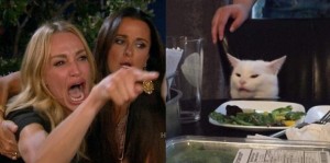 Create meme: meme with screaming woman and a cat, funny cats, the cat table meme