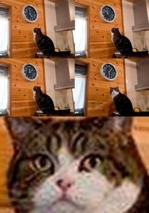 Создать мем: кот и часы мем, мем пора кот, кот мем