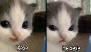 Создать мем: оу май котенок р, кет камера кэт, маленький котенок потерялся