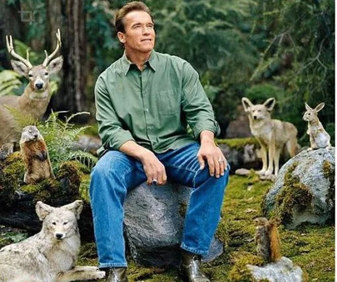 Create meme: schwarzenegger in nature, meme arnold schwarzenegger in the woods, Schwarzenegger in the woods