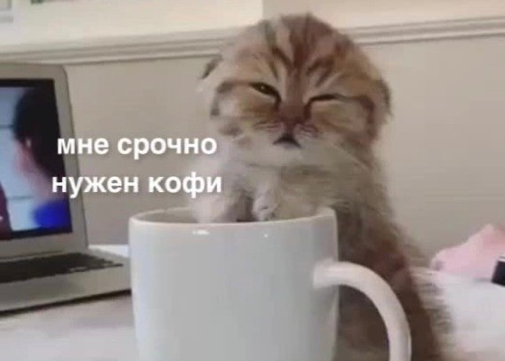 Create meme: sleepy cat with coffee, cat with a cup of coffee, A sleepy cat with a cup of coffee