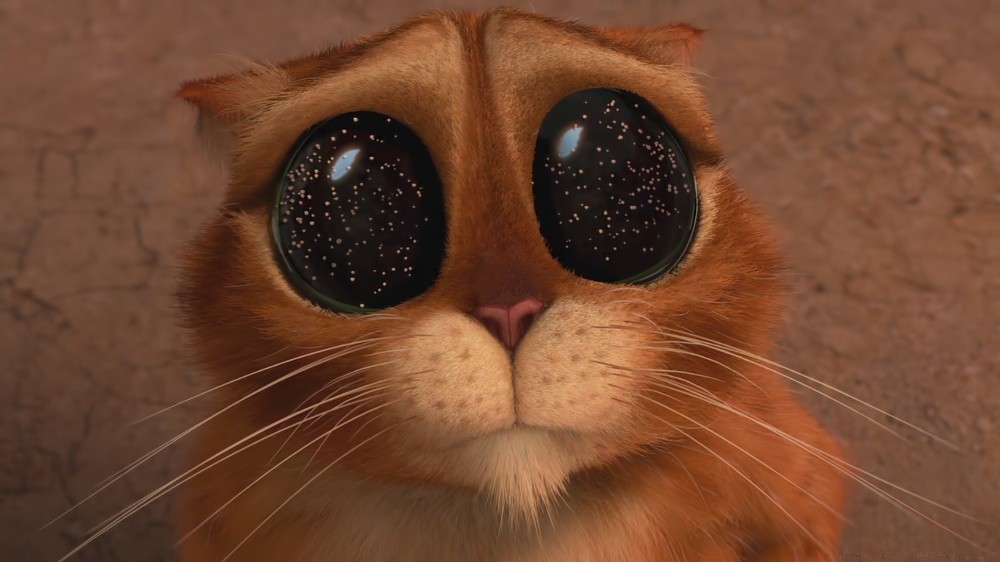 Create meme: puss in boots eyes , puss in boots eyes space, The cat from Shrek eyes