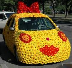 Create meme: a cute car, crazy car, car