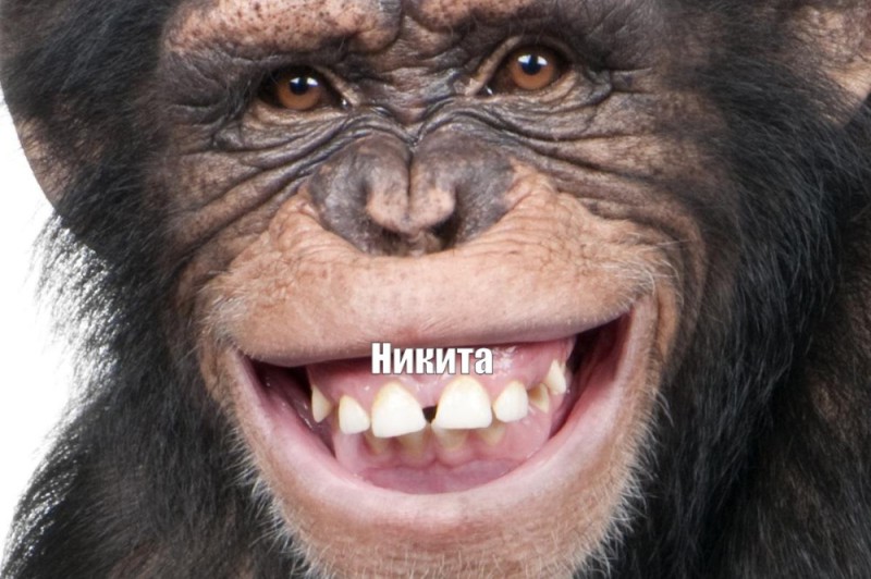 Create meme: smiling monkey, chimp smiles, chimpanzees 