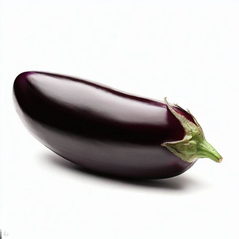 Create meme: eggplant , eggplant on white background, eggplant vegetable