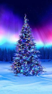 Create meme: elegant tree, beautiful Christmas tree, Christmas tree