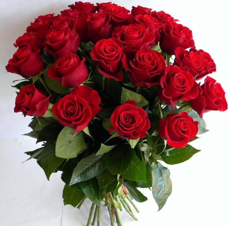 Create meme: bouquet of roses red, a gorgeous bouquet, beautiful bouquet