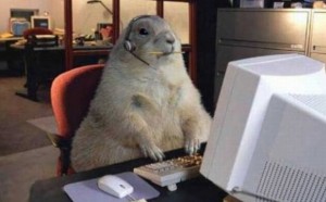 Create meme: Surkov, hamster for computer, Groundhog day
