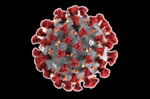 Create meme: virus, coronaviruses