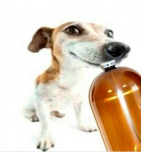 Создать мем: мем с собакой и бутылкой, собачка с кегой, собака с кегой