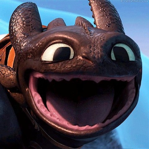 Create meme: toothless the night fury, hiccup and toothless, toothless and day fury