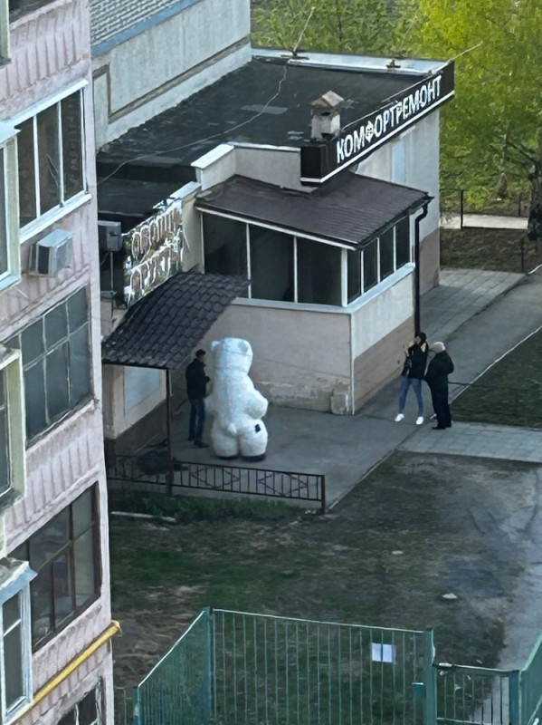 Создать мем: белый медведь архангельск, медведь умка, большой белый медведь