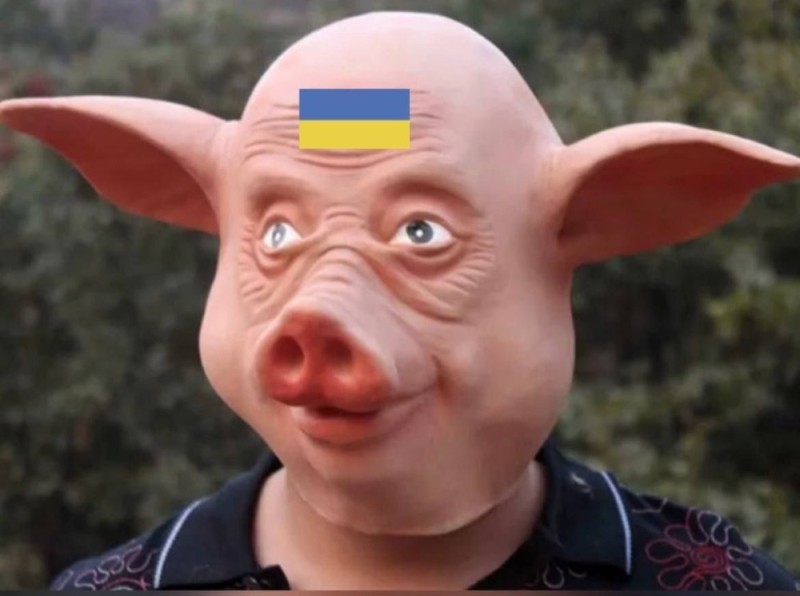 Create meme: rubber pig mask, the pig mask, man pig