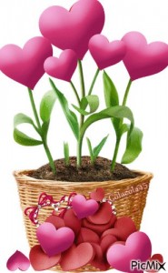 Создать мем: открытка, happy valentine s day, любимые цветы