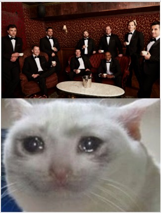 Создать мем: грустный котик мем, мем кот, плачущий кот мем