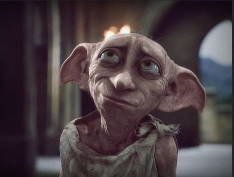 Create meme: elf Dobby, harry potter dobby the elf, Dobby from Harry Potter