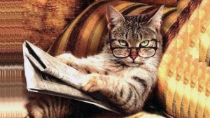Create meme: cat, newspaper for cats, the cat master