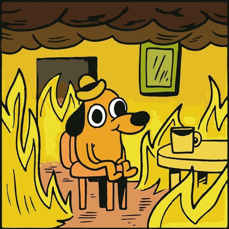 Создать мем: пес в горящем доме, собачка в огне мем, мем собака в горящем доме