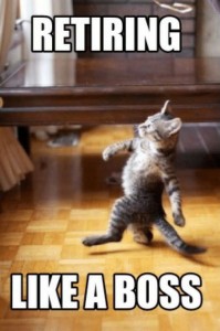 Create meme: cats, fun with cats, the dancing cat