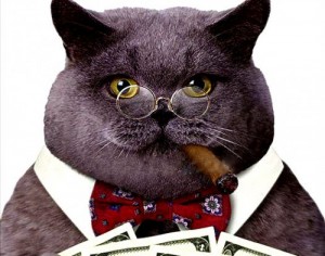 Create meme: cat, collar, bow tie