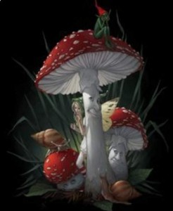 Create meme: mushroom sketch, mushroom mushroom art, the fly agaric mushroom