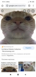 Создать мем: о кошках, кошачьи мемы, кто прочитал тот воскресе мем