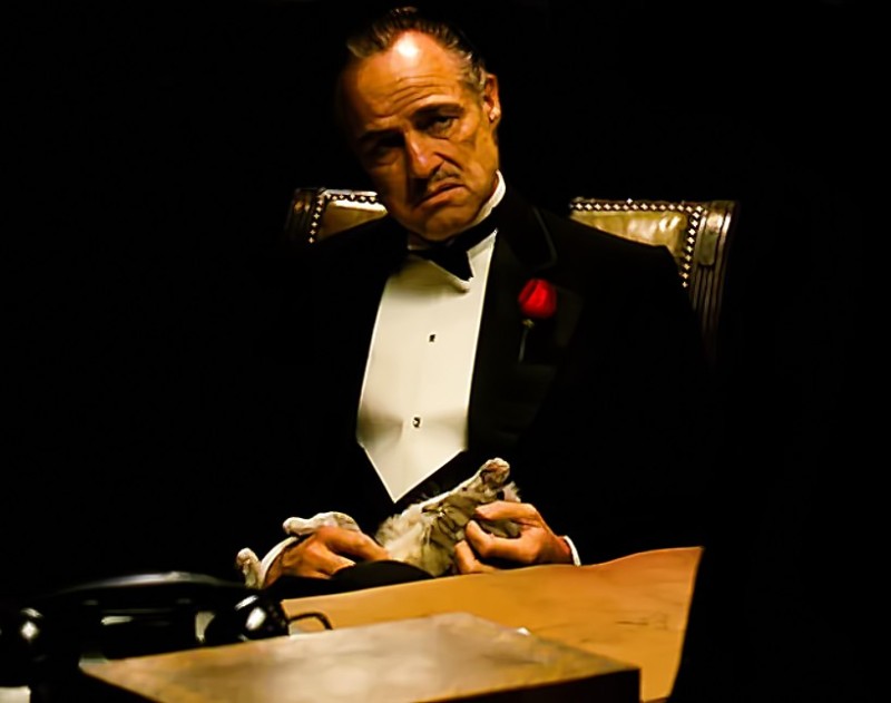 Create meme: don Corleone , don corleone father, don Corleone Smoking a cigar