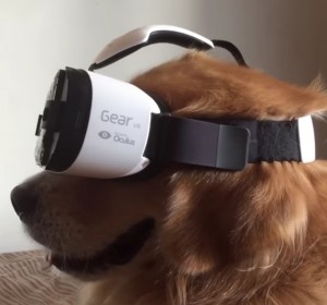 Создать мем: vr headset, sanal gerçeklik gözlüğü, virtual reality