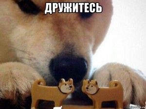 Create meme: meme bites, Shiba inu meme bites, meme dog bites