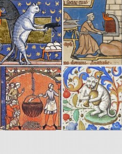 Create meme: medieval cats, suffering middle ages cat