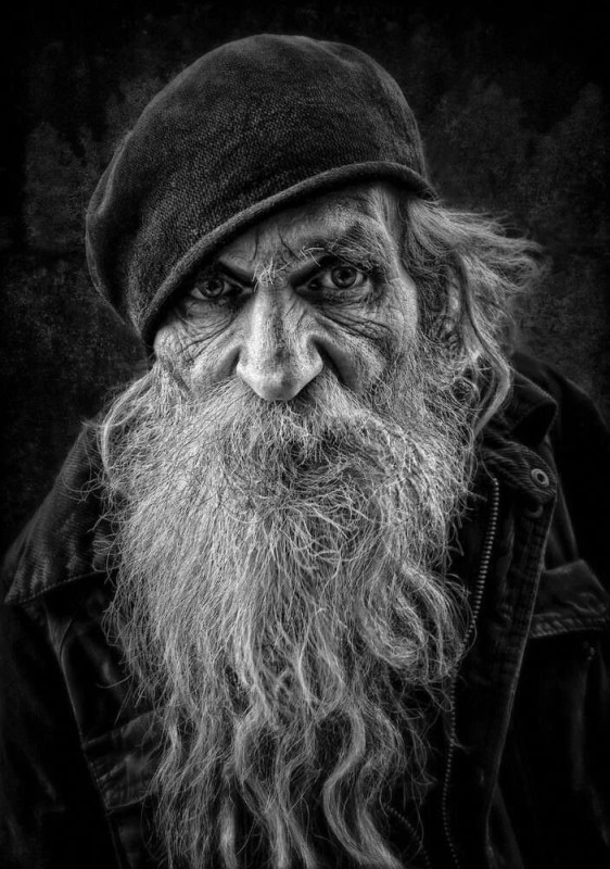 Создать мем: white long beard old man portrait, фотопортрет старика, бородатый старик