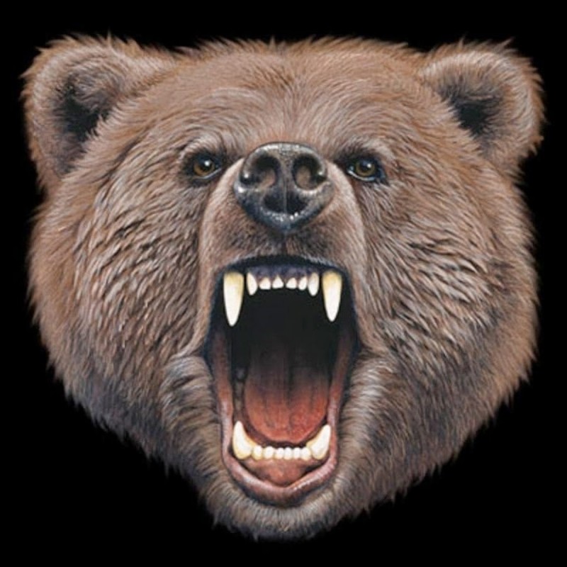Создать мем: злой гризли, медведь гризли, морда рычащего медведя
