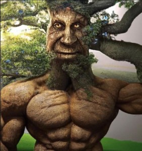 Создать мем: мистическое дерево с лицом, мудрое мистическое дерево, живое дерево