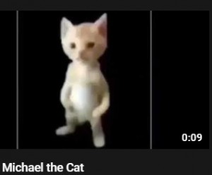 Создать мем: кот михаэль мем, кот майкл мем, смешные кошки