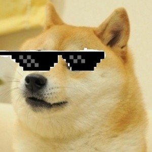 Create meme: Doge swag