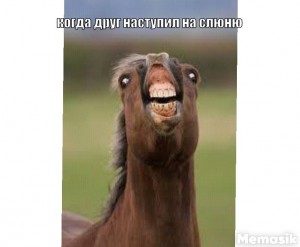 Create meme: normal horse meme, stoned horse, horse meme