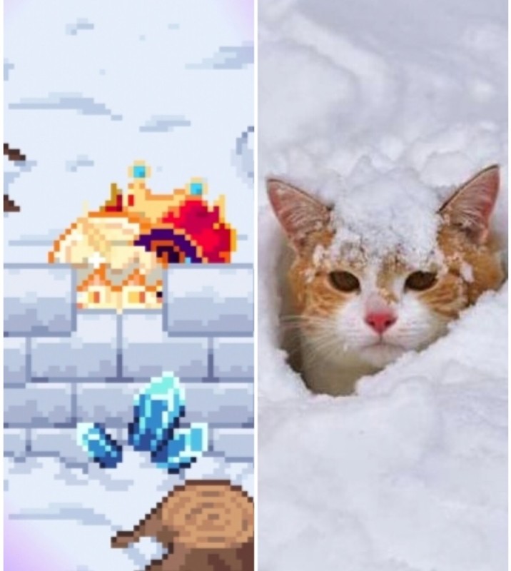 Создать мем: зимние кошки, котик в снегу, зима кот