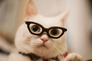 Create meme: cat, cat, hipster