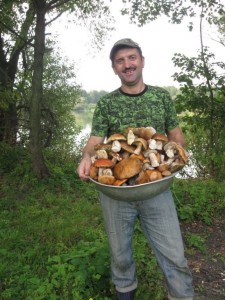 Create meme: mushroom picker Paradise, mushrooms, kalosevici mushrooms