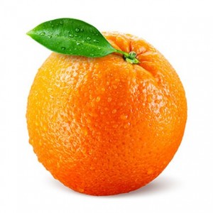 Создать мем: апельсин на белом фоне, листья апельсина, листья апельсина на белом