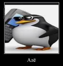 Create meme: penguin , the penguin is funny, the penguin meme