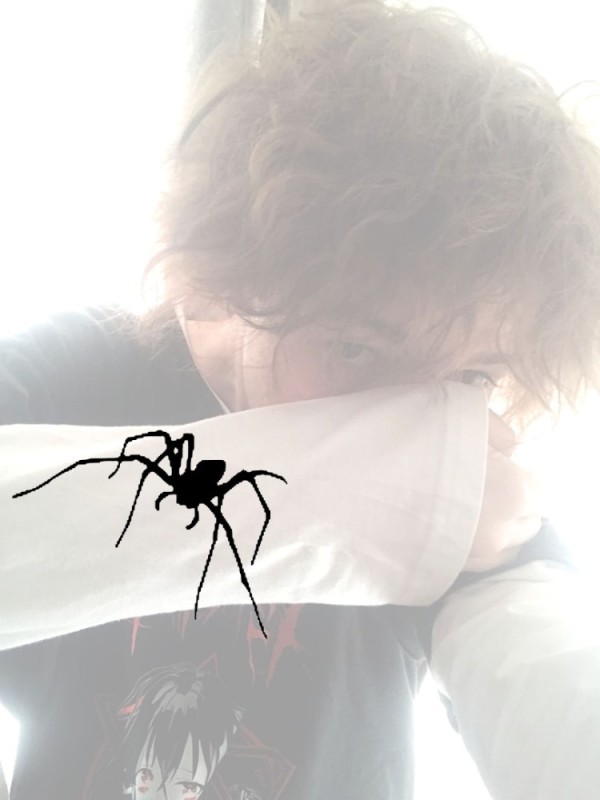 Создать мем: пауки для хэллоуина, насекомое, паук паук