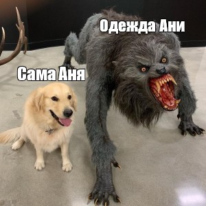 Создать мем: null